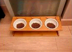 Cat feeding station with three separate feeding bowls that each have food